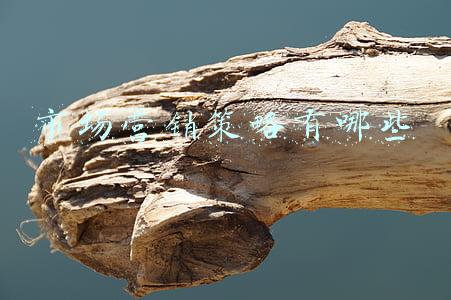 目标市场营销策略(销售人员速胜三原则之目标篇)