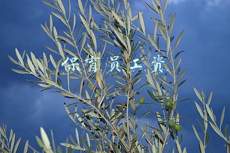 保育员工资和幼师工资区别(幼师工资虽然并不高，“隐藏”福利却不少，除了双休还有什么？)