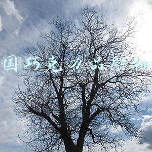 中国巧克力品牌排行榜(美国有德芙，意大利有费列罗，中国的知名巧克力堪称“国货精品”)