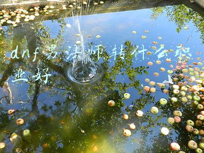 dnf男法师转什么职业好
