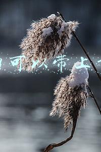 刮胡刀可以带上飞机吗