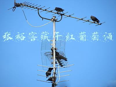 张裕窖藏干红葡萄酒优选级(张裕干红葡萄酒哪个级好？国产红酒张裕哪款好喝？)