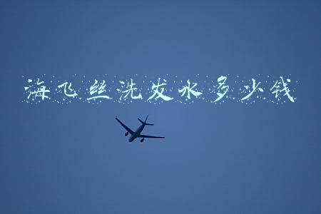 海飞丝洗发水多少钱一斤(常德一家三口百日卖出万瓶“海乙丝” 进价每瓶4元卖40元)