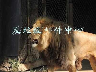 反垃圾邮件中心