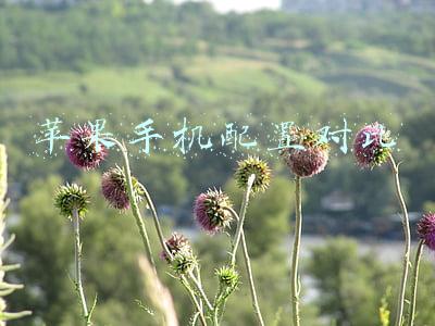 苹果手机配置对比