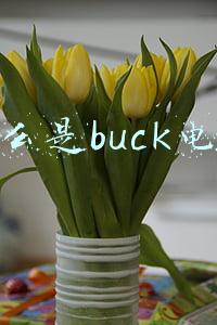 buck电路原理图(boost/buck电源工作原理)