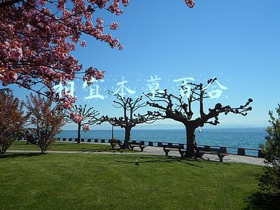 相宜本草百合系列和红景天哪个好(相宜本草、百雀羚、玉泽的4款超市面霜，超适合四五十岁的皮肤)