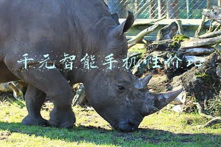 千元智能手机性价比