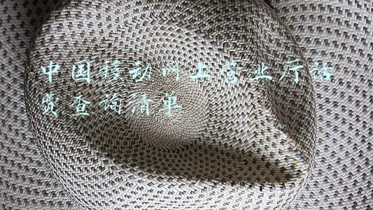 中国移动网上营业厅话费查询清单