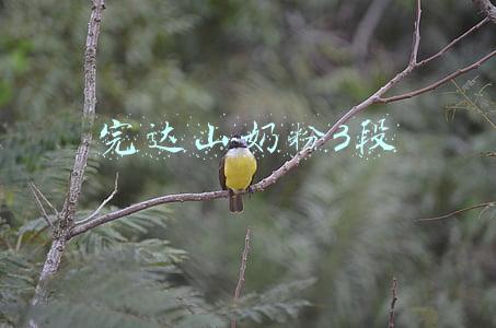 完达山奶粉3段