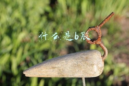 什么是b股