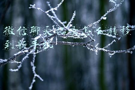 安卓手机微信聊天记录怎么转移到新手机(只要微信在，记录不能丢：论备份 Android 版微信聊天记录的两种方式)