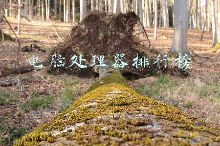 电脑处理器排行榜2019(2021年12月台式+笔记本电脑最新CPU和显卡性能天梯图-含价格参考)