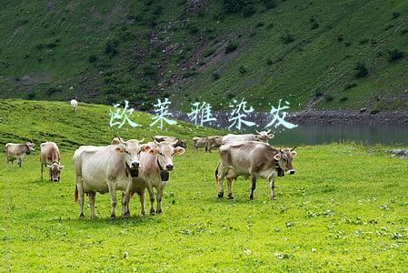 欧莱雅染发膏官方旗舰店(有品日报 | Urban Outfitters退出中国市场；乐纯上线流沙酸奶月饼；欧莱雅×永璞推出联名礼盒)