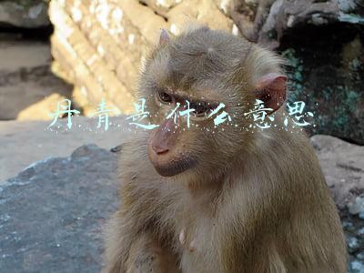 丹青是什么意思解释(学一个成语记一首诗词，领略经典的魅力！)