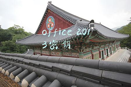 office 2013密钥