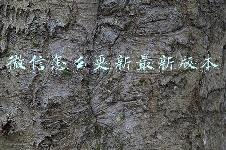 微信怎么更新最新版本