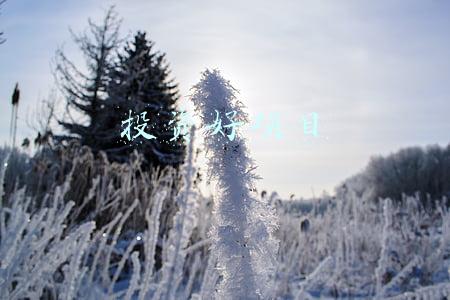 投资好项目