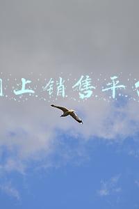 怎样建立网络销售平台(营销平台，从0到1搭建思路)