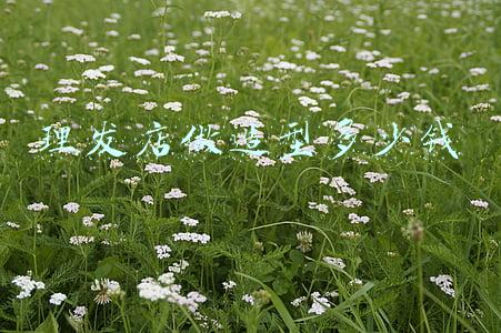 理发店造型卡通图片，理发店卡通造型图片大全