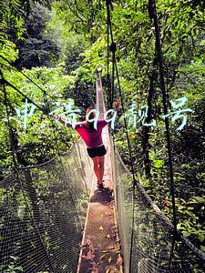 qq免费申请靓号(QQ靓号免费注册无人知，曾经的王者已经悄然落寞)