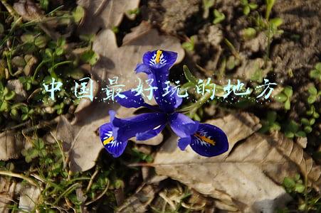 中国最好玩的地方