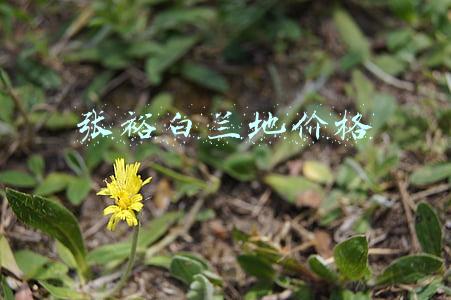 张裕白兰地价格表38度二支赠一装(广东湛江市市场监管局：34批次酒类样品抽检合格)