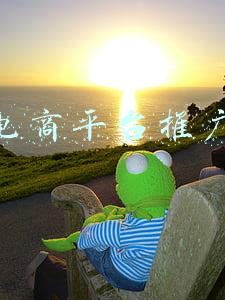 电商平台推广