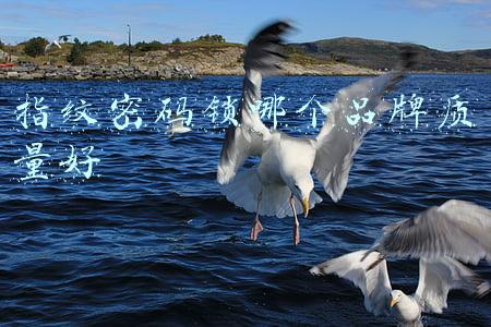 指纹密码锁哪个品牌质量好