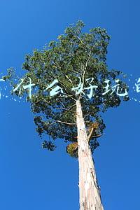 武汉有哪些旅游景点(武汉最适合“穷游”的6处旅行地，去过第一次的，都想再去第二次)