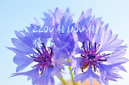 220v转110v转换器
