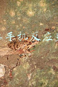 安卓手机反应变慢