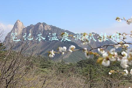 笔记本温度测试软件