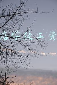 蛋糕店的学徒工一般多少工资?工作时间是?(蛋糕店的学徒工一般多少工资)
