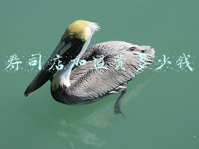 寿司店加盟店，寿司店加盟店哪个好