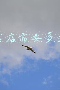 开淘宝店铺需要多少资金(开个淘宝店大概需要多少资金)