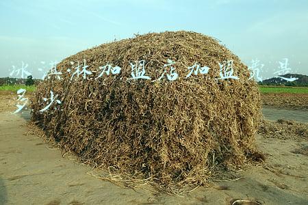 冰淇淋加盟费及条件 冰淇淋店加盟大概要多少钱