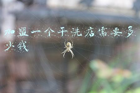 干洗店加盟费需要多少-干洗店加盟费