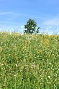 干洗店加盟多少钱 加盟干洗店要多少钱-干洗店加盟大概多少钱