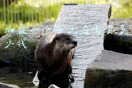 干洗店加盟费多少钱《泰洁干洗店加盟费多少钱》
