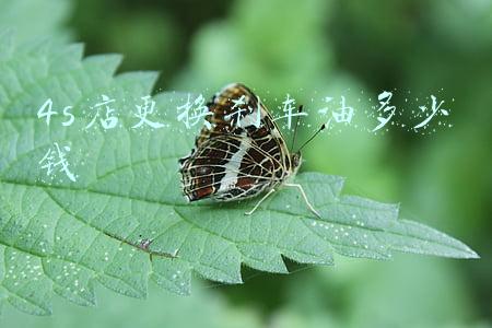 汽车更换刹车油一般多少钱(轿车更换刹车油需要多少钱)