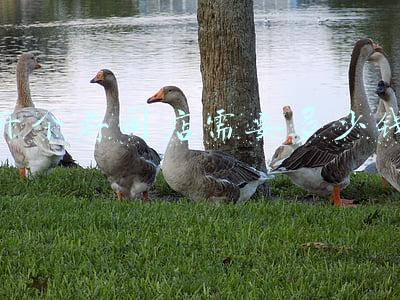 加盟寿司店要多少钱,加盟一个寿司店多少钱