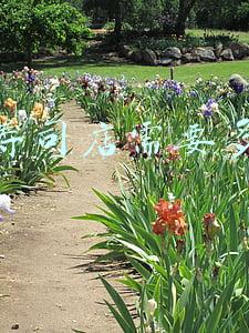 现在开寿司店怎么样(开寿司店赚钱吗)