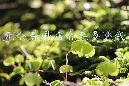 开寿司店需要多少钱,开个寿司店大概需要多少钱