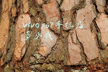 vivoy67实体店价格多少钱,vivoy67a实体店多少钱