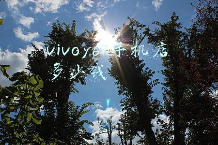 vivoy67手机多少钱一部（vivoy67手机多少钱一台）