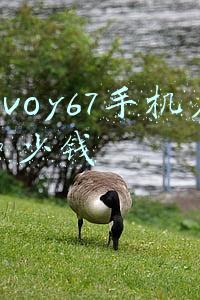 vivoy67手机参数配置_vivoy67手机参数