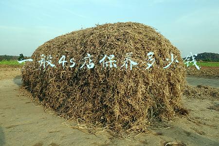 4s店保养要多少钱_4s店维修保养多少钱