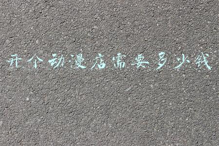 开个动漫实体店赚钱吗-开个动漫店赚钱吗