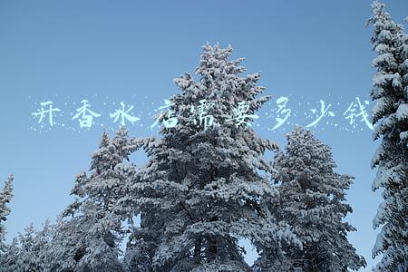 开个香水小工厂需要多少钱_开香水厂需要投资多少钱